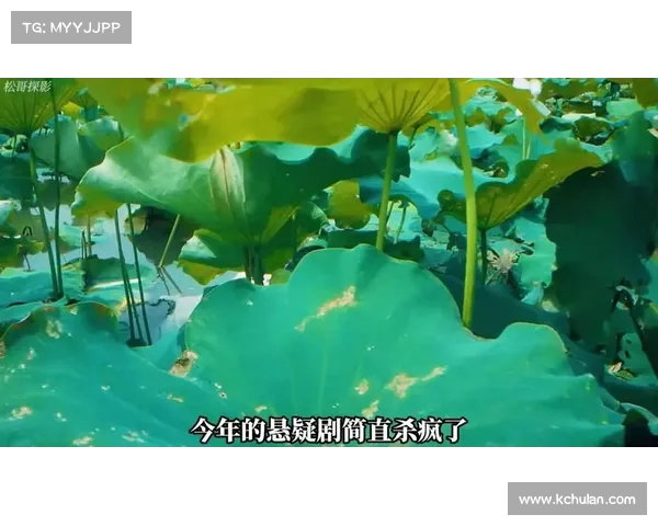 震撼！追真集团巧妙制胜，反方四大致命盲点曝光(zheng追)