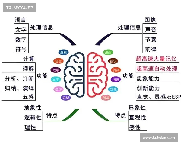 视觉训练程序：提高场上感知能力的特殊训练